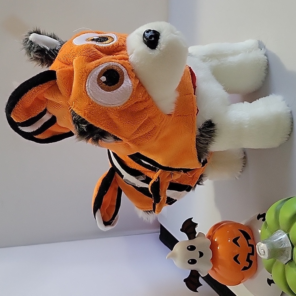 Disney Pet Shop Halloween Nemo Dog Or Cat